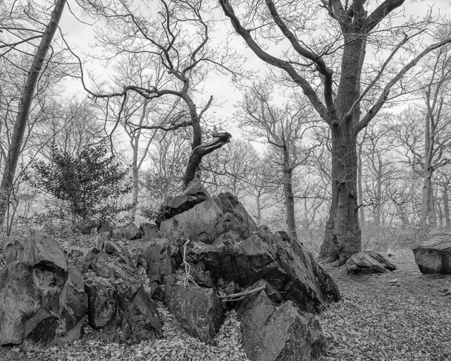 Outwoods